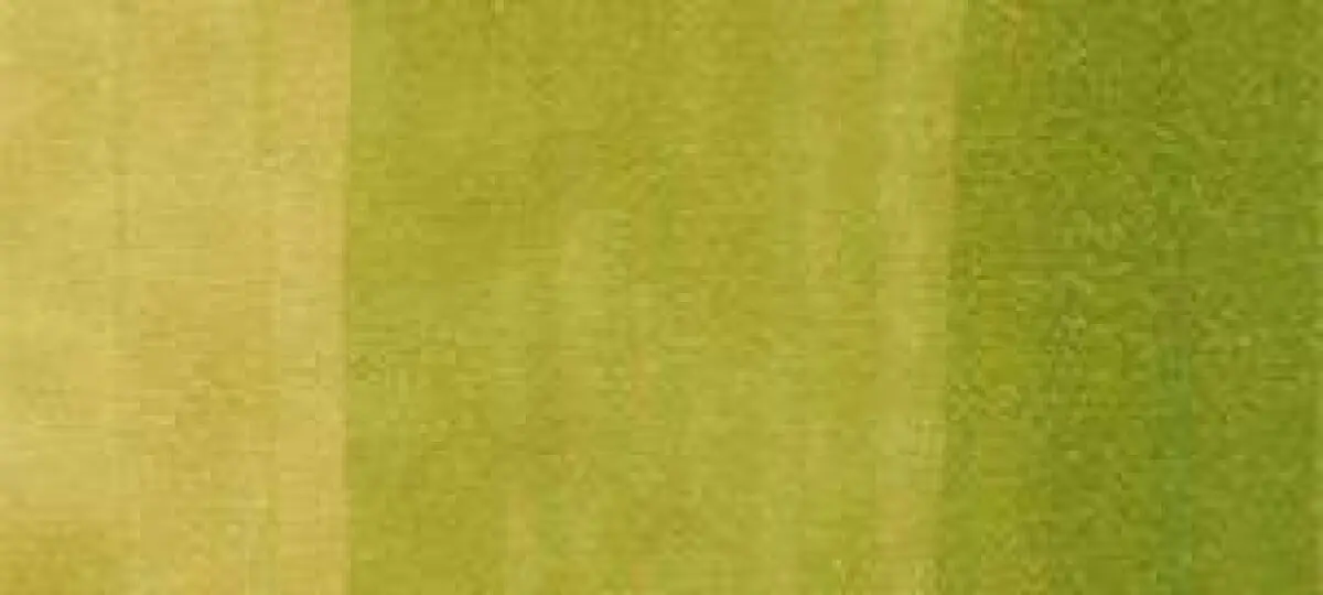 Copic Ink – YG03 Yellow Green