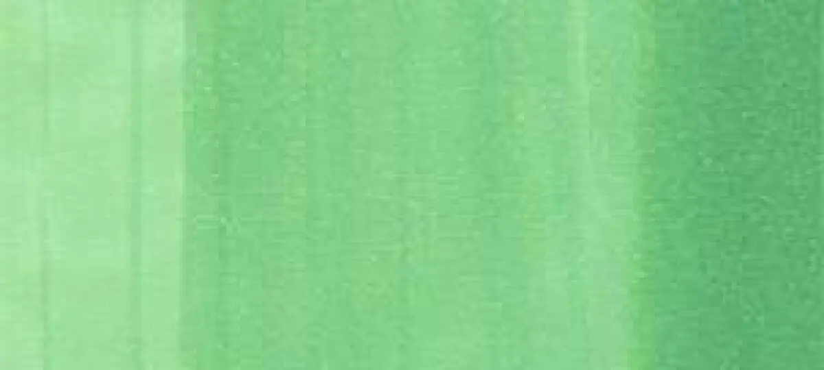 Copic Ink – YG09 Lettuce Green