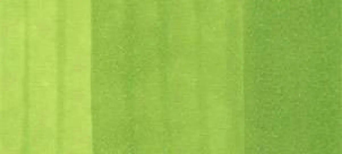 Copic Ink – YG25 Celadon Green