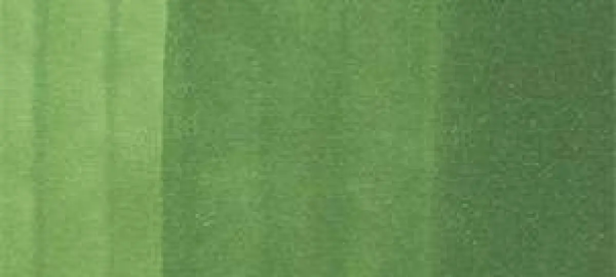 Copic Ink – YG67 Moss