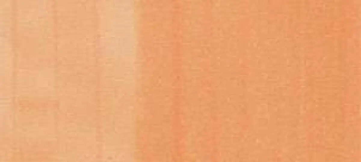 Copic sketch marker - R02 rose salmon