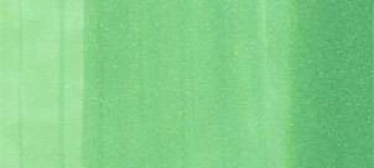 Copic sketch marker - YG09 lettuce green
