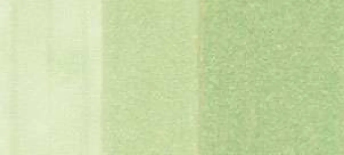 Copic sketch marker - YG61 pale moss