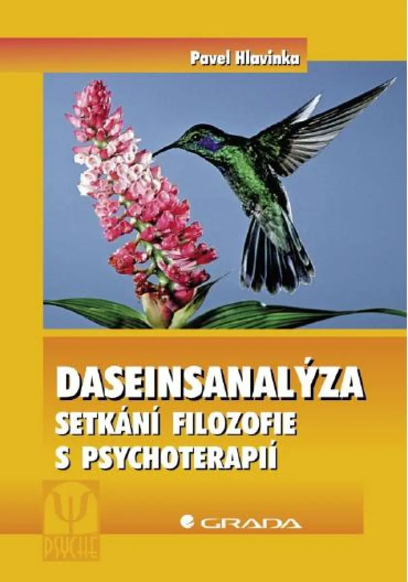 Daseinsanalýza - Pavel Hlavinka