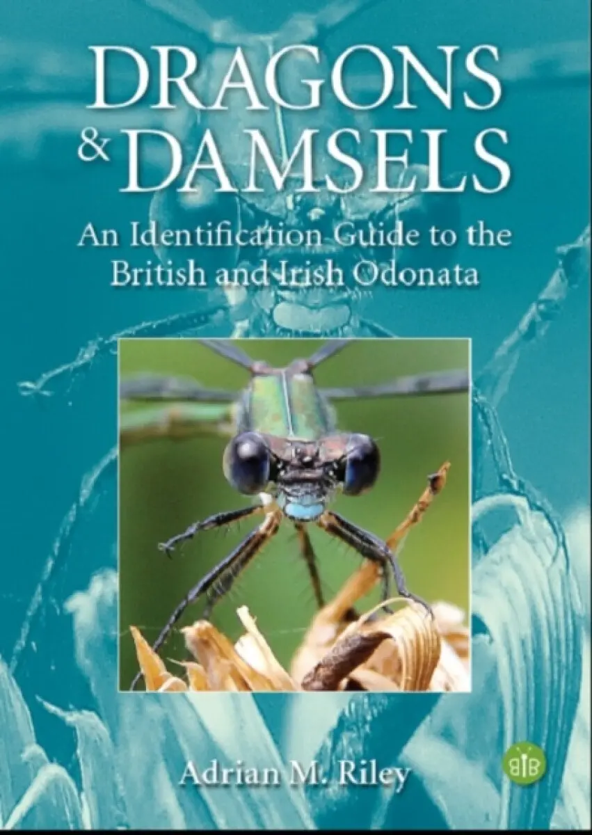 Dragons and Damsels - Adrian Riley