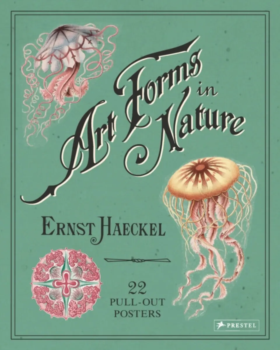 Art Forms in Nature - Haeckel Ernst