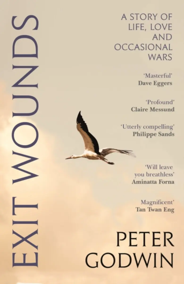 Exit Wounds - Peter Godwin