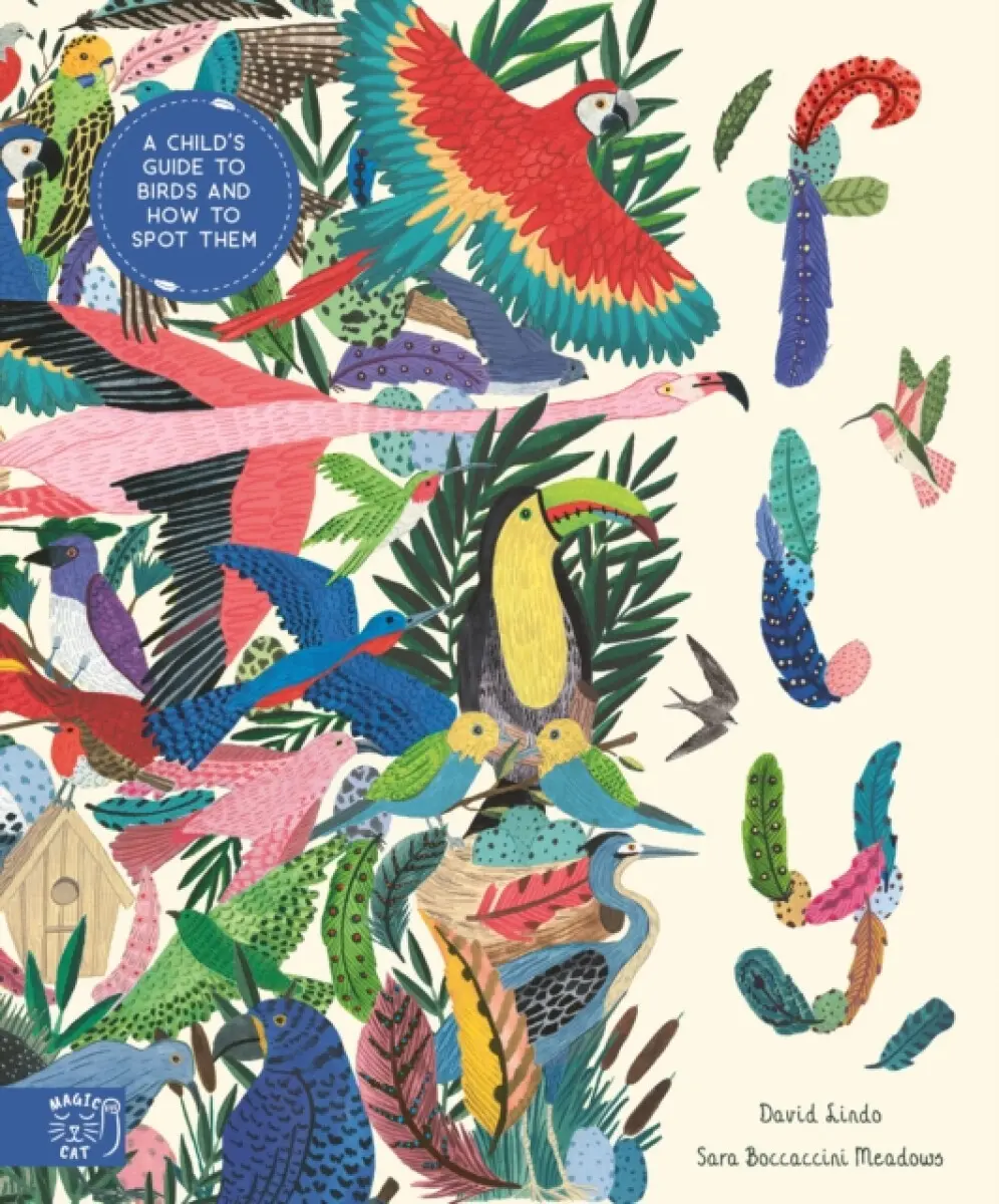 Fly - David Lindo