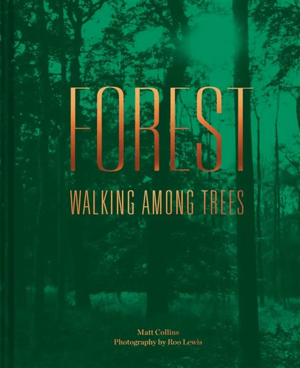 Forest - Matt Collins