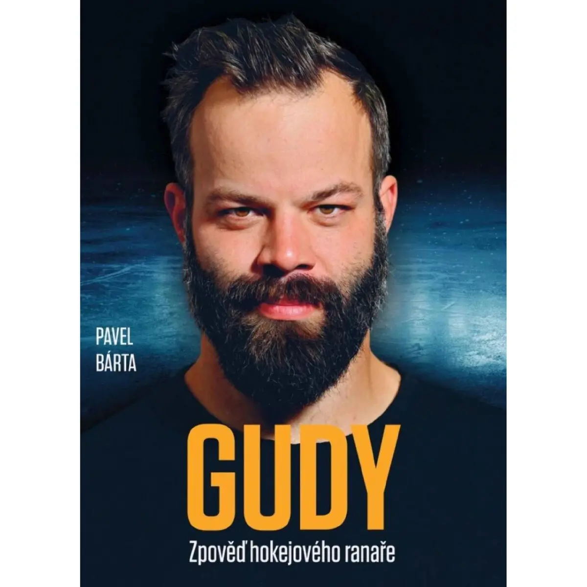 Gudy - Pavel Bárta