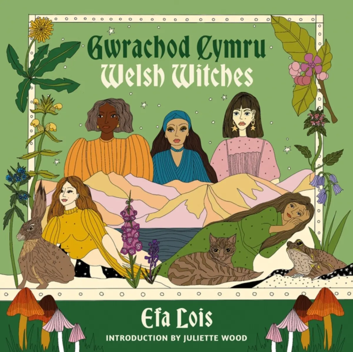 Gwrachod Cymru | Welsh Witches - Efa Lois