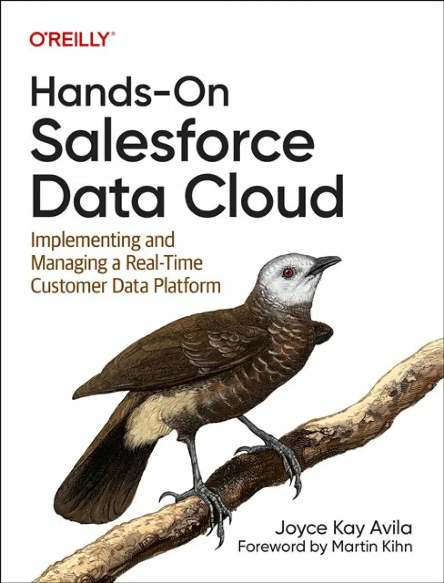 Hands–On Salesforce Data Cloud - Joyce Kay Avila