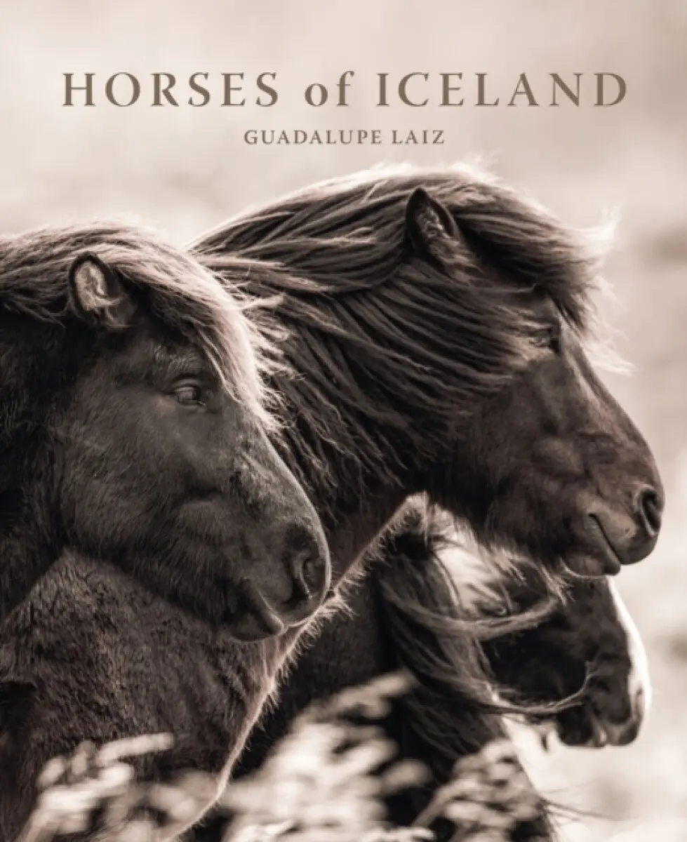 Horses of Iceland - Guadalupe Laiz