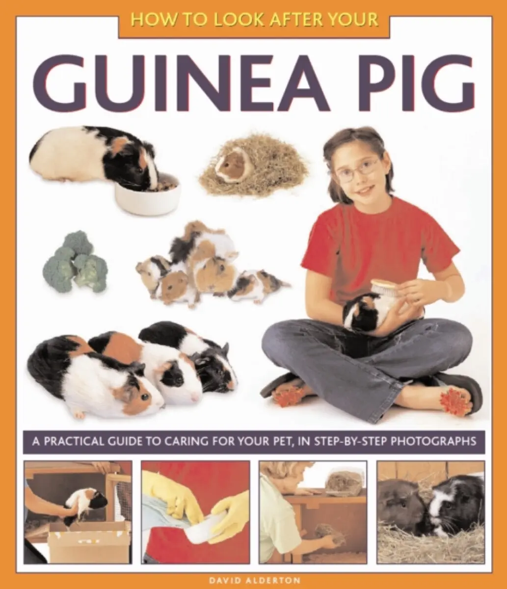 How To Look After Your Guinea Pig - David Alderton