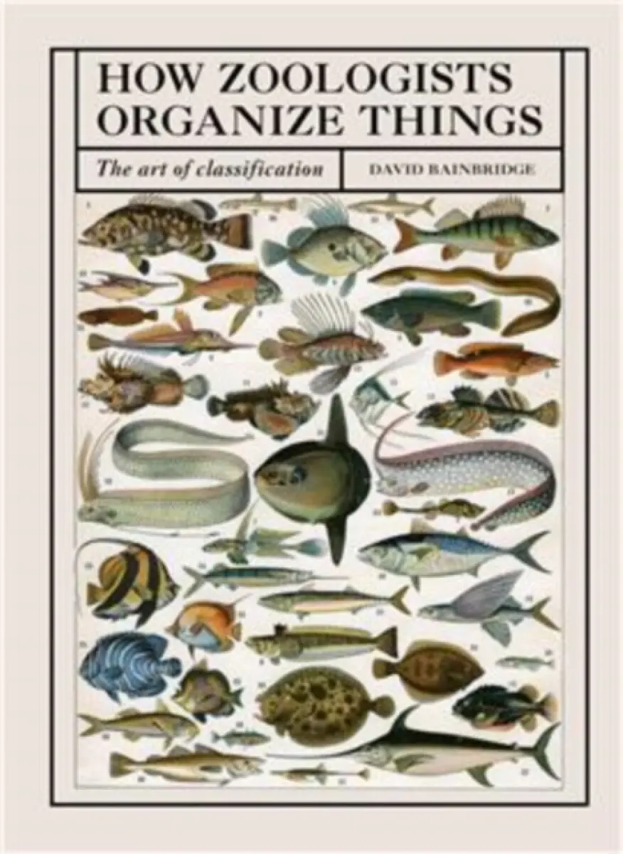How Zoologists Organize Things - David Bainbridge