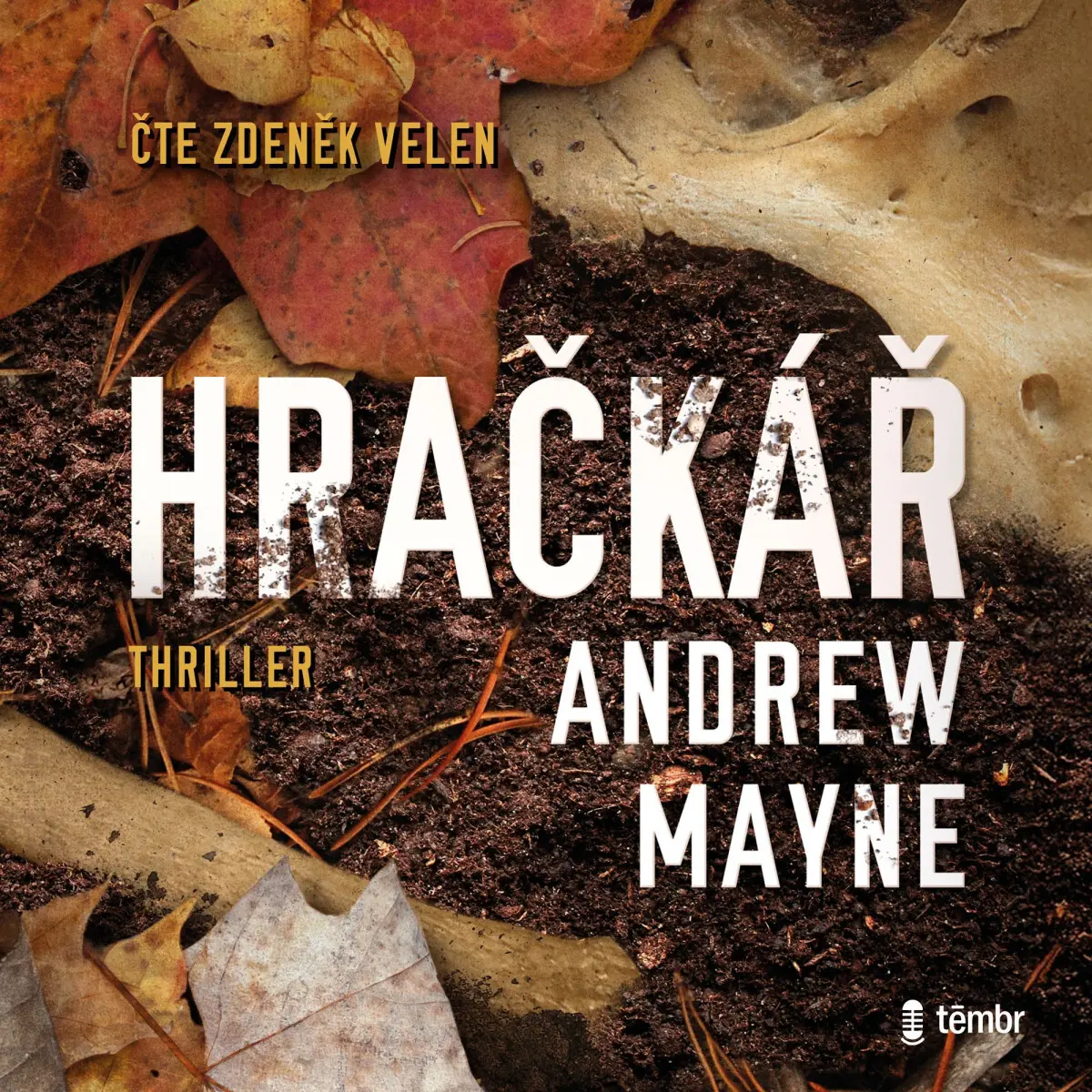 Hračkář - Andrew Mayne - audiokniha