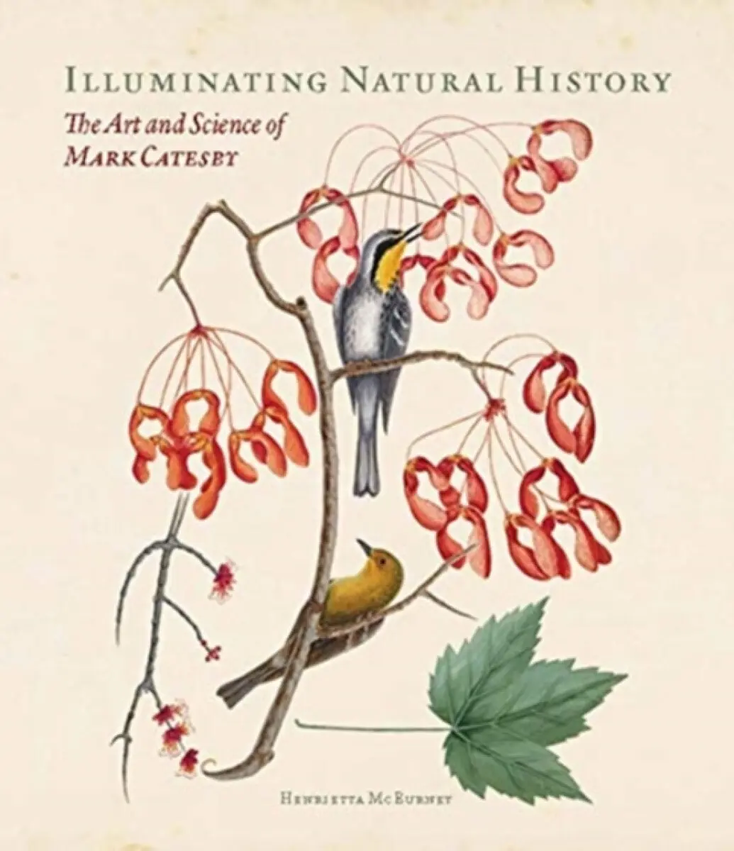 Illuminating Natural History – The Art and Science of Mark Catesby - Henrietta McBurney