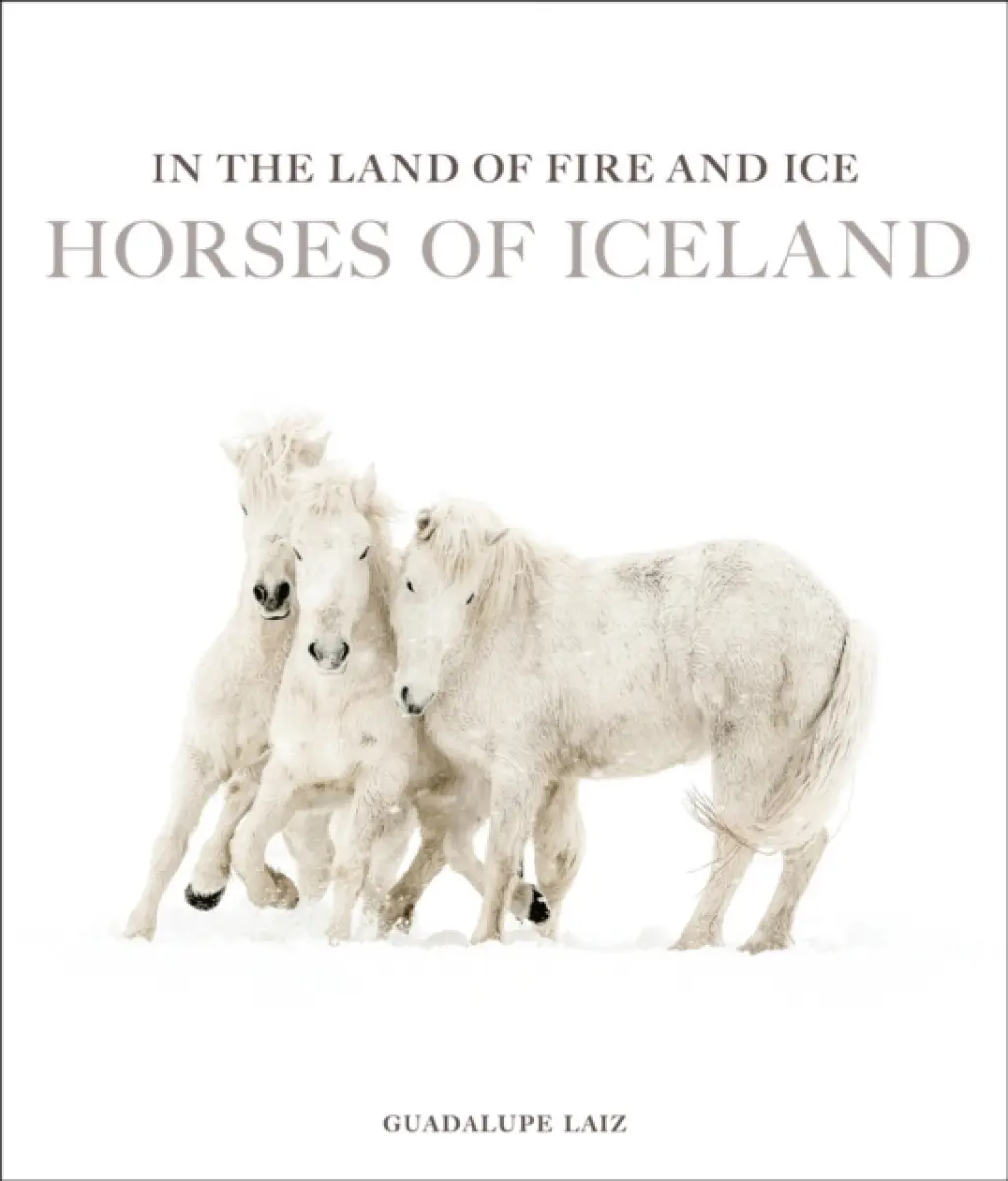 In the Land of Fire and Ice - Guadalupe Laiz