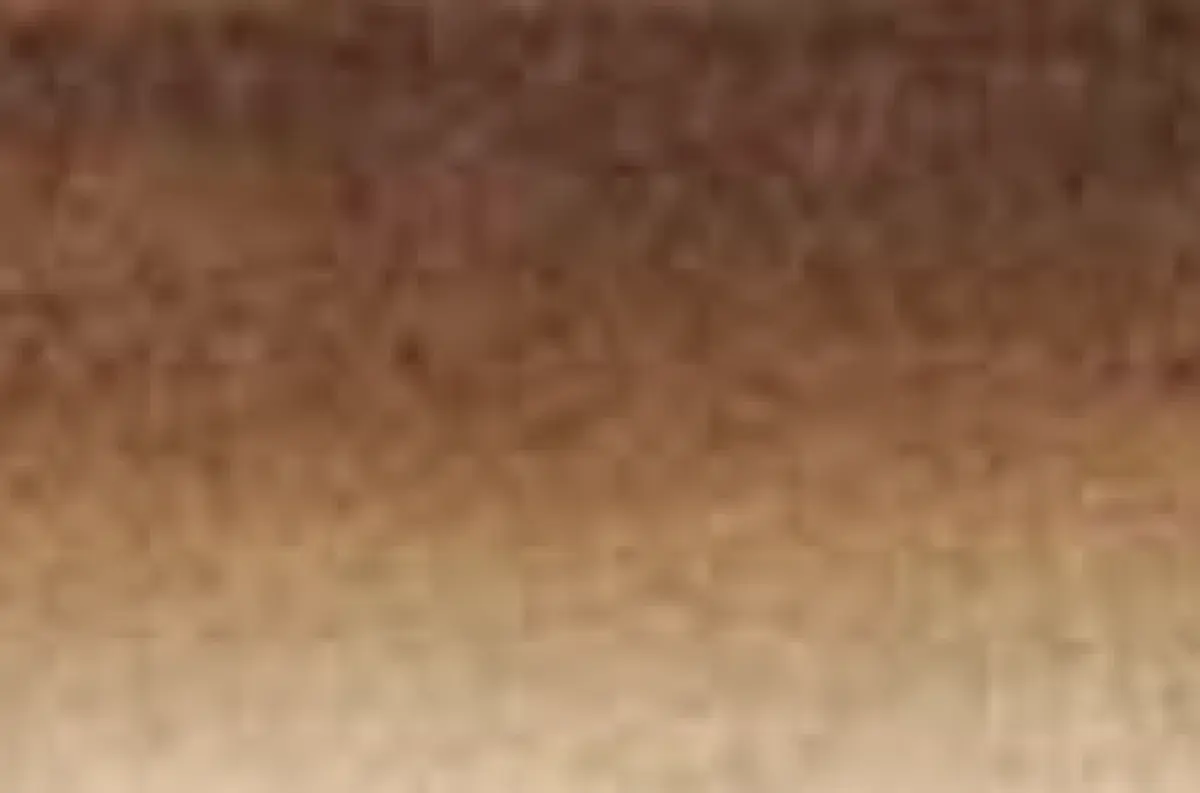 Šelaková tuš Sennelier 30ml – 453 Walnut Stain