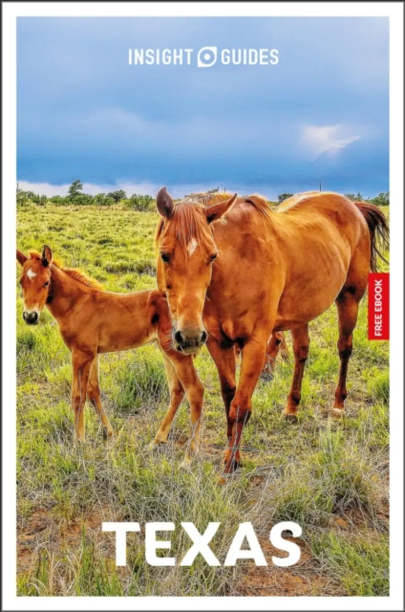 Insight Guides Texas: Travel Guide with eBook - Rashmi Narayan