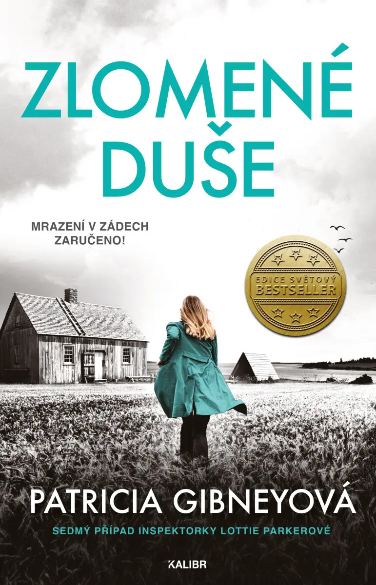 Inspektorka Lottie Parkerová 7: Zlomené duše - Patricia Gibneyová