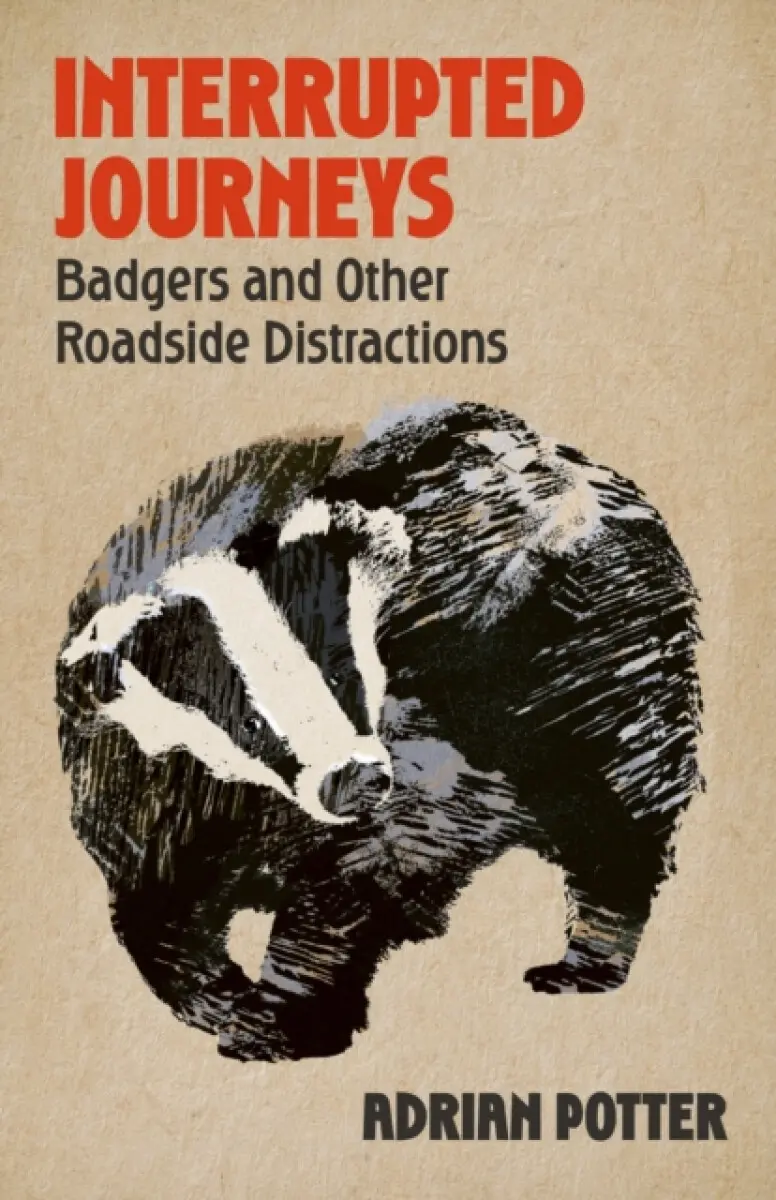 Interrupted Journeys - Adrian Potter