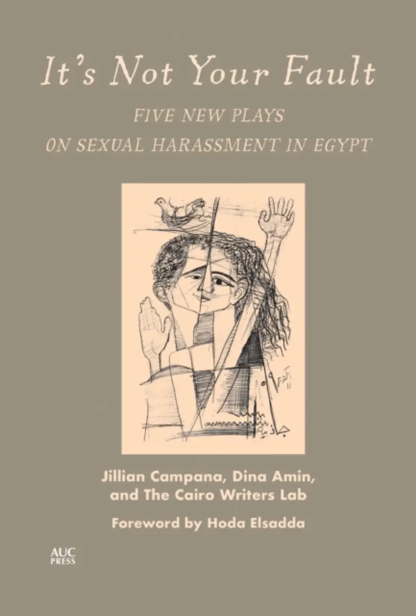 It's Not Your Fault - Dina Amin, The Cairo Writers Lab, Jillian Campana