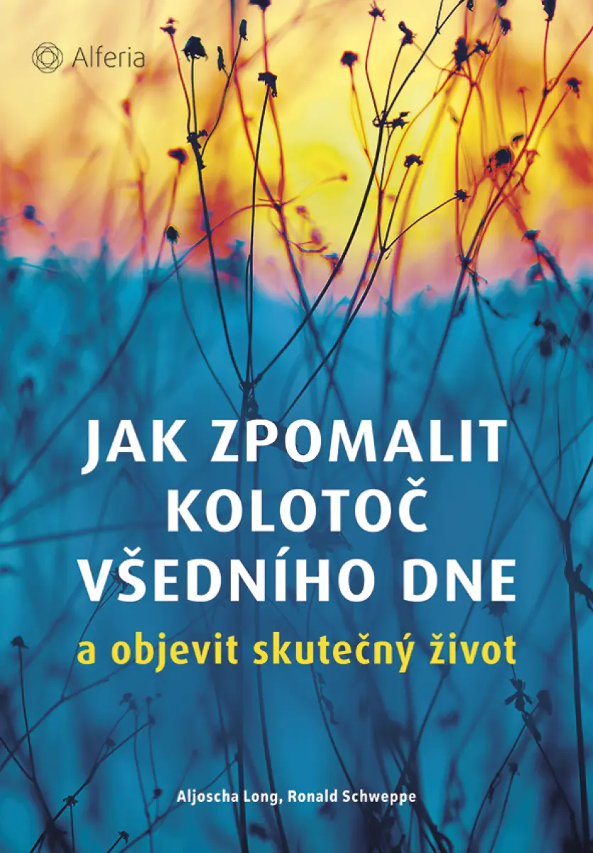 Jak zpomalit kolotoč všedního dne - Ronald P. Schweppe, Aljoscha Long