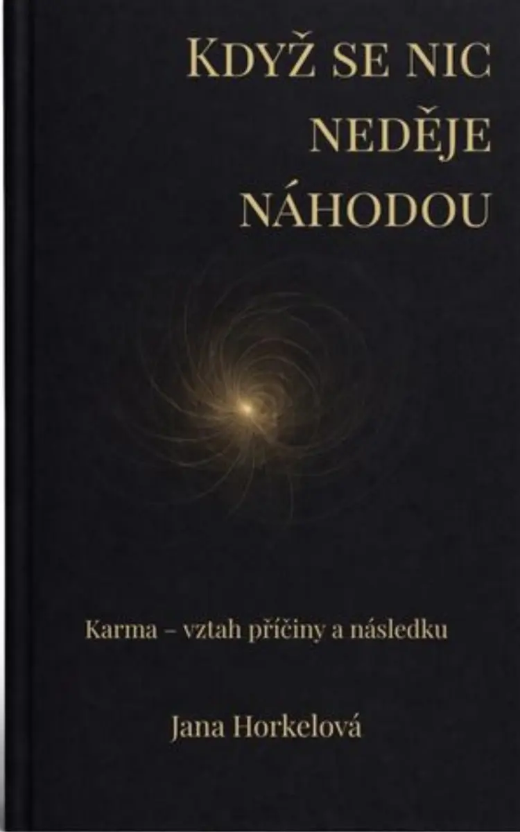 Když se nic neděje náhodou - Jana Horkelová