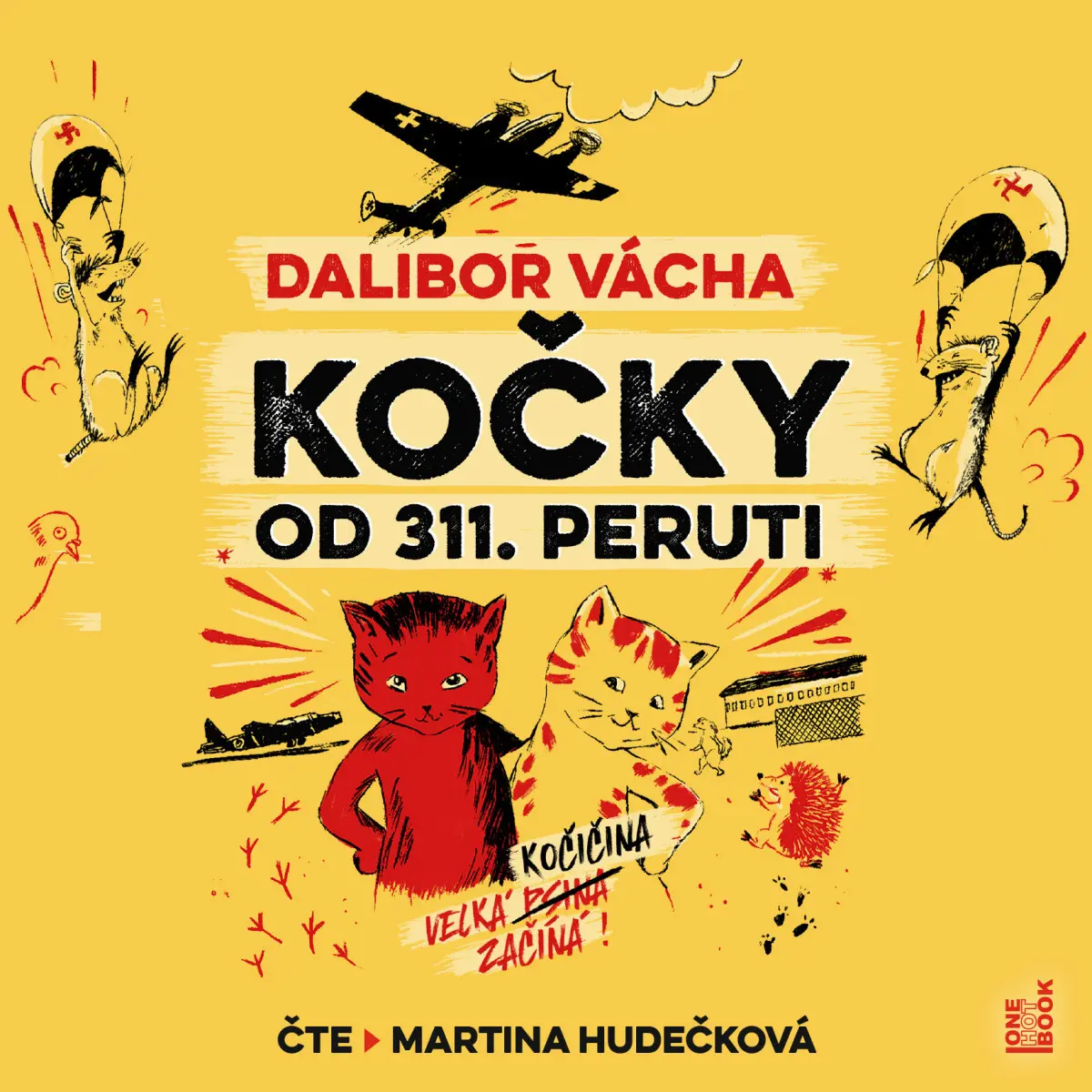 Kočky od 311. peruti - Dalibor Vácha - audiokniha