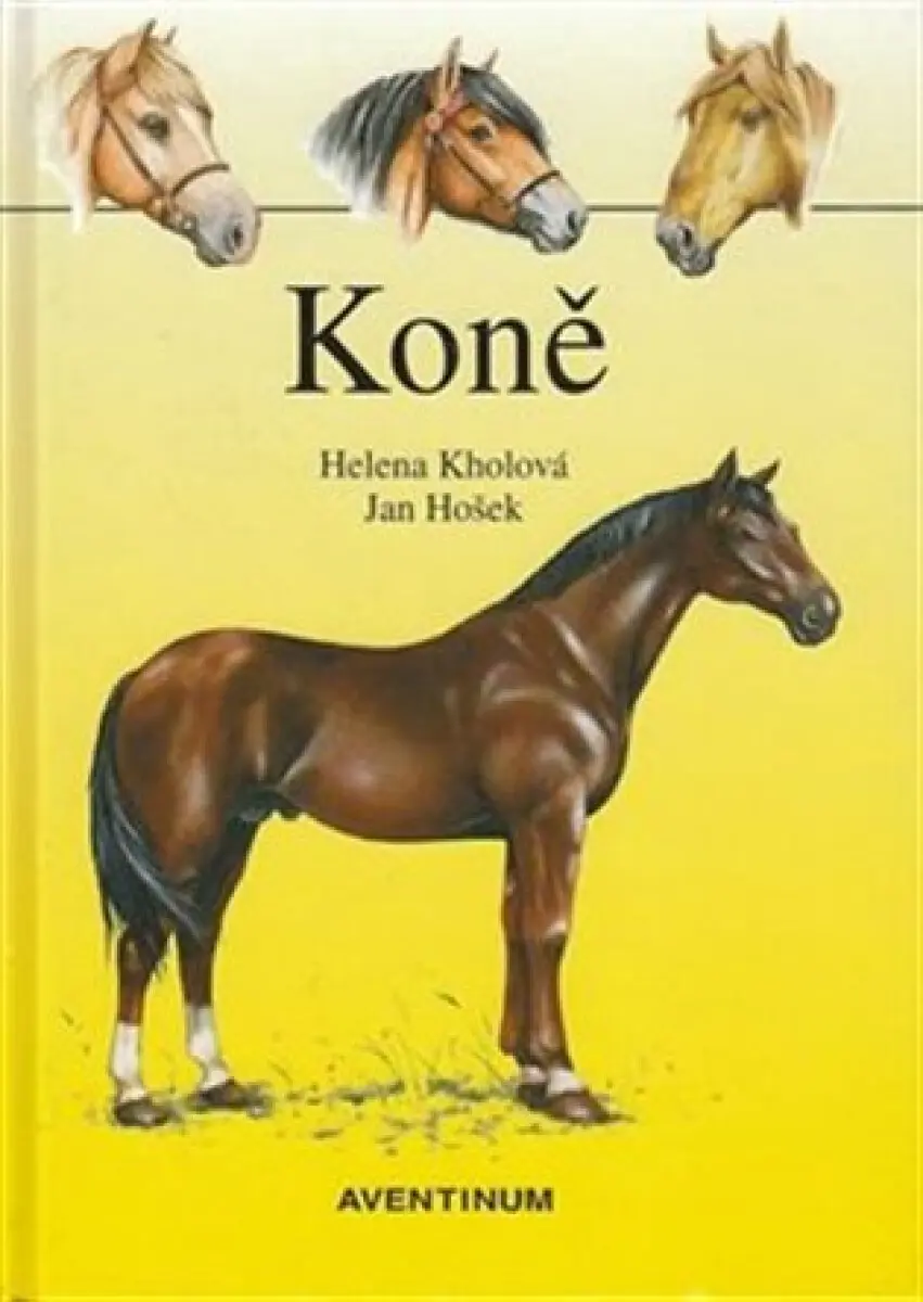 Koně - Helena Kholová, Jan Hošek (Ilustrátor),Koně - Helena Kholová, Jan Hošek (Ilustrátor) - kniha z kategorie Chov koní