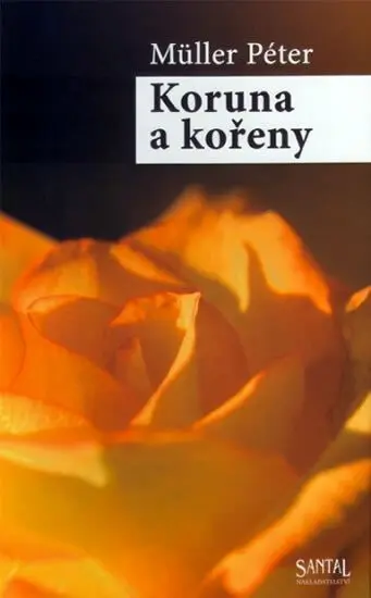 Koruna A Koreny