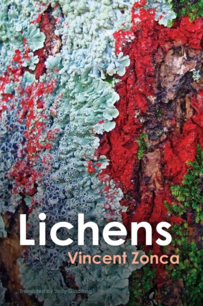 Lichens – Toward a Minimal Resistance - Vincent Zonca