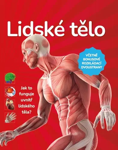 Lidské tělo - Jak to funguje uvnitř lidského těla? - Justyna Mazurek