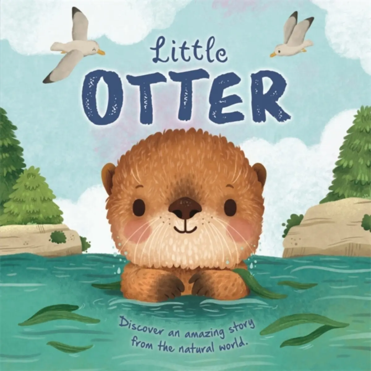 Little Otter - Autumn Publishing