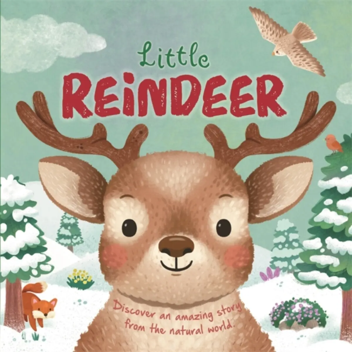 Little Reindeer - Autumn Publishing