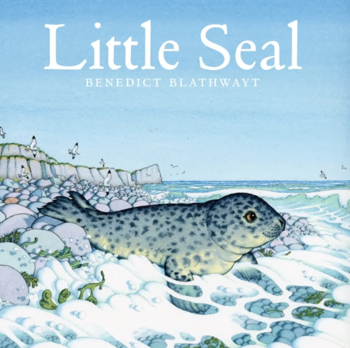 Little Seal - Benedict Blathwayt