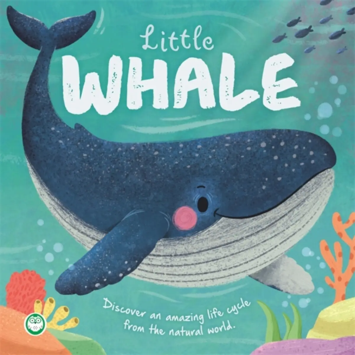Little Whale - Autumn Publishing