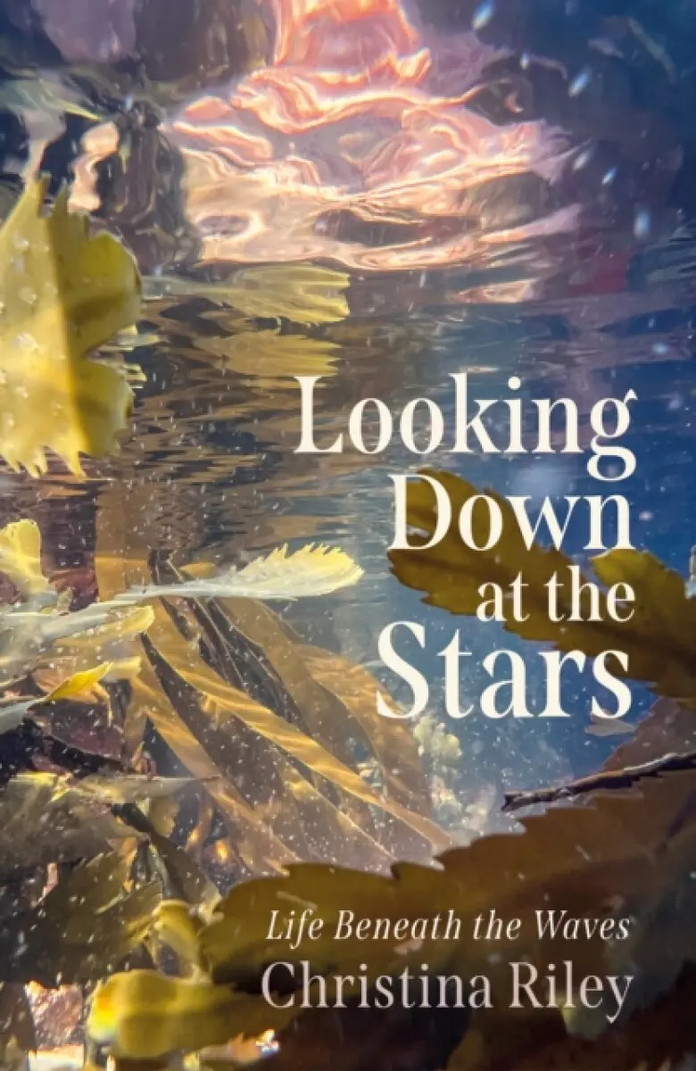 Looking Down at the Stars - Christina Riley