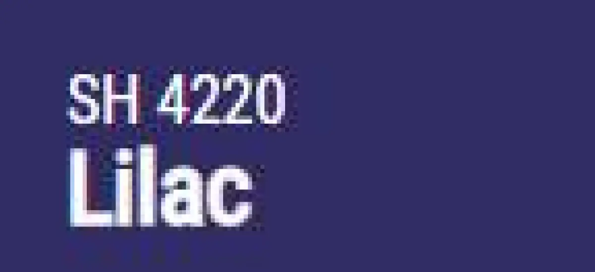 Marker Montana na akrylové bázi 2mm – 4220 Lilac