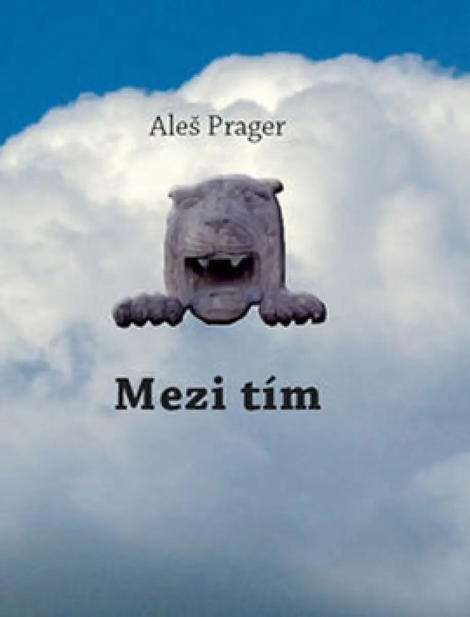 Mezi tím - Aleš Prager