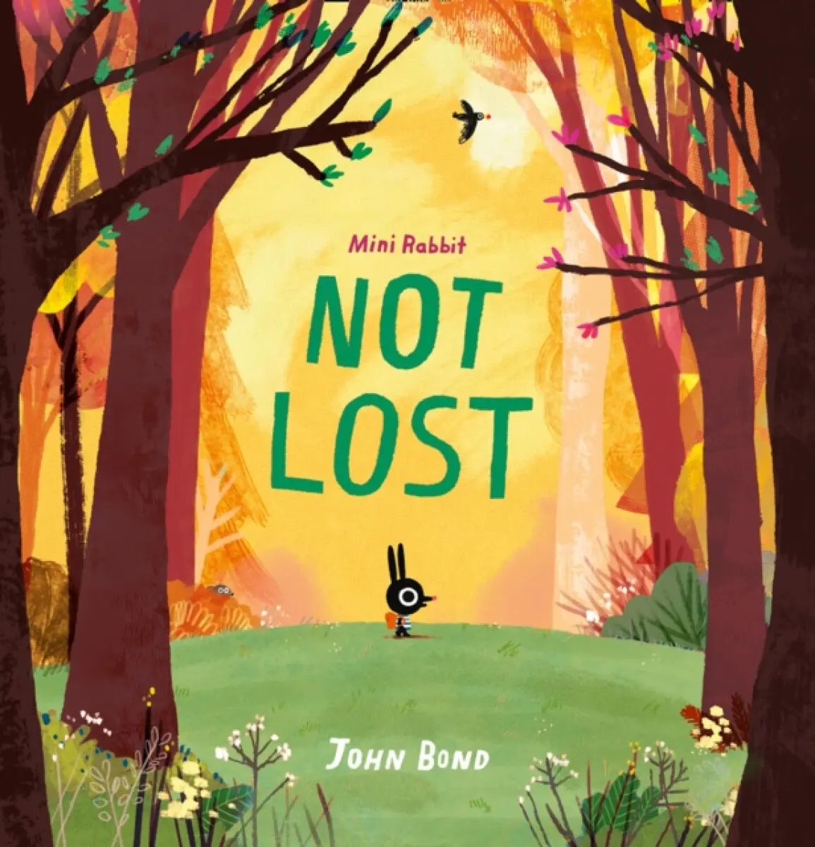 Mini Rabbit Not Lost - John Bond