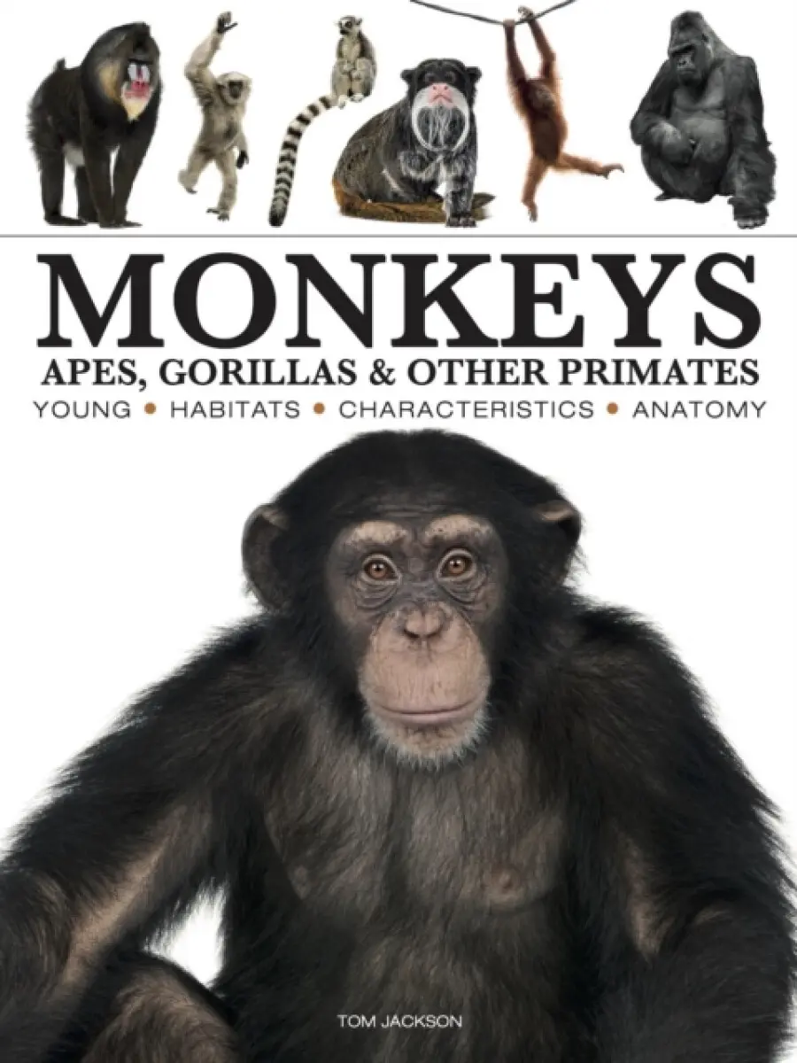 Monkeys - Tom Jackson