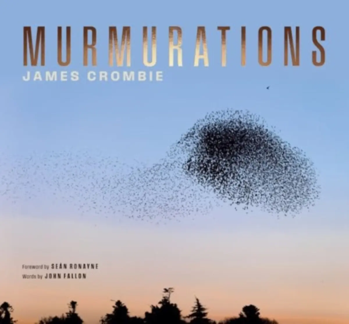 Murmuration - James Crombie