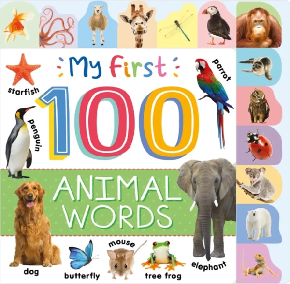 My First 100 Animal Words - Autumn Publishing