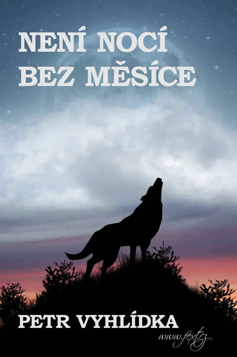 Není nocí bez Měsíce - Petr Vyhlídka