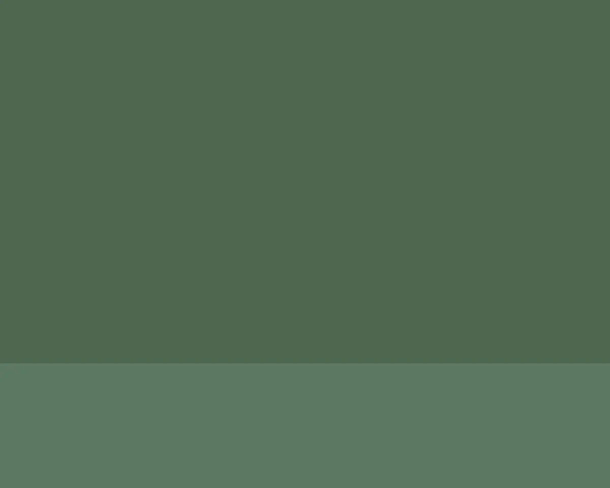 Olejová barva Lefranc 40ml – 542 Chromium Oxide Green