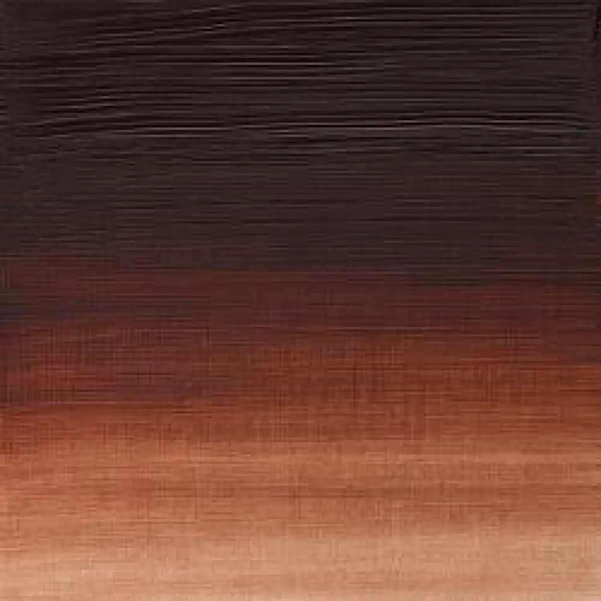 Olejová barva W&N Artists 37ml – 056 Brown Madder