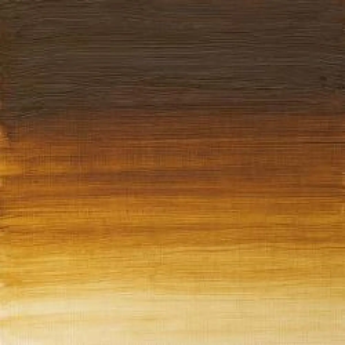 Olejová barva W&N Artists 37ml – 557 Raw Umber Light
