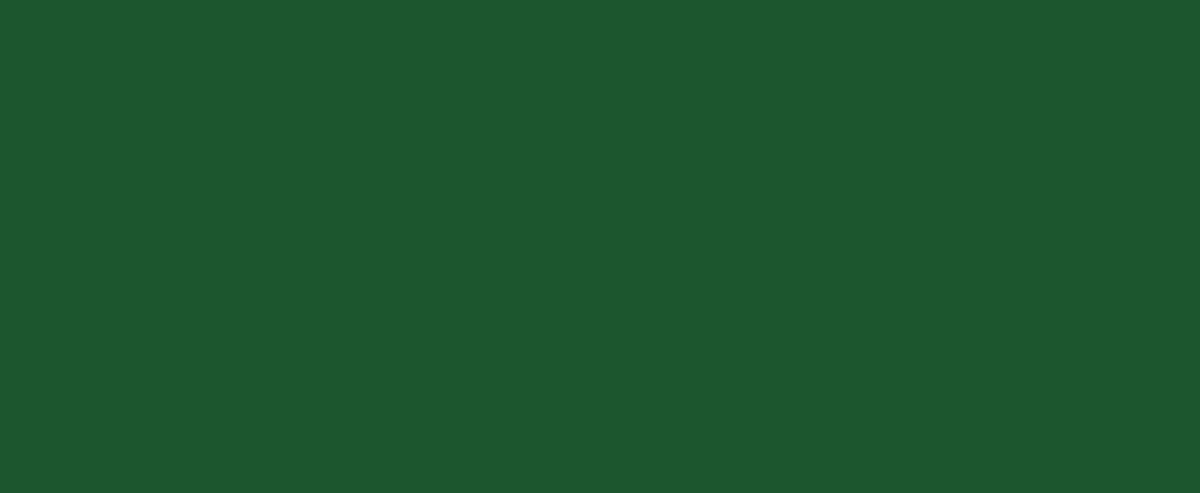 Barva Pébéo Deco 45ml – 015 Gloss Dark Green